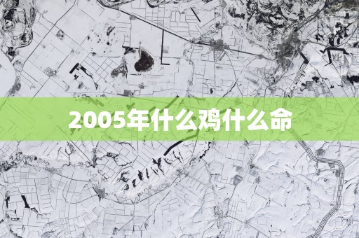 2005年什么鸡什么命