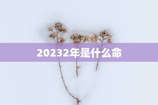 20252年是什么命