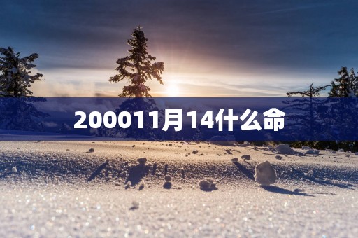 200011月14什么命