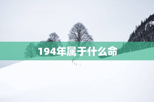 194年属于什么命
