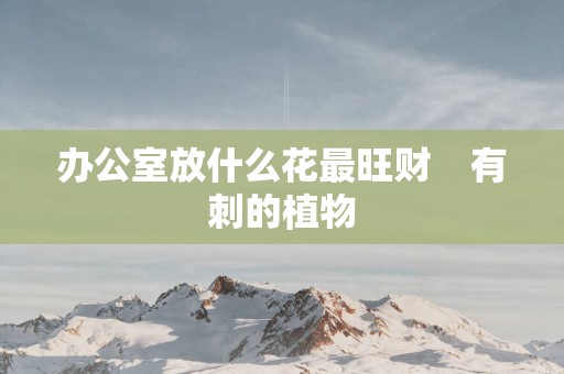 办公室放什么花最旺财    有刺的植物