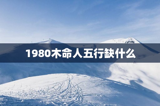 1980木命人五行缺什么