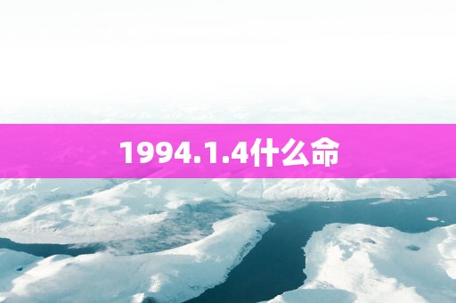 1994.1.4什么命