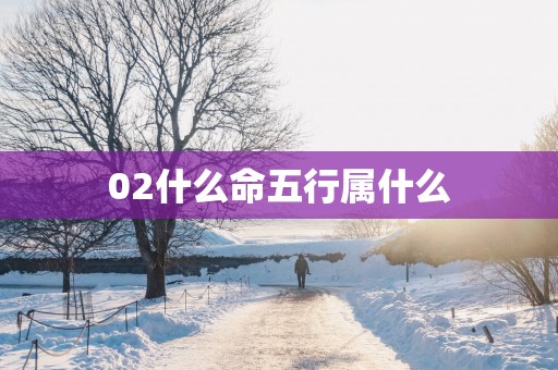 02什么命五行属什么