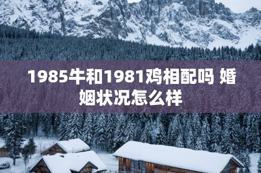 1985牛和1981鸡相配吗 婚姻状况怎么样