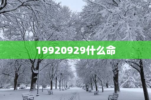 19920929什么命
