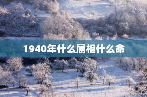 1940年什么属相什么命