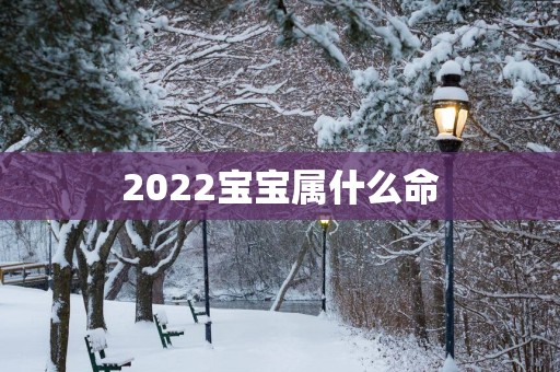 2025宝宝属什么命