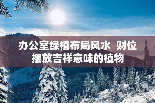 办公室绿植布局风水  财位摆放吉祥意味的植物