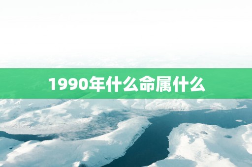 1990年什么命属什么
