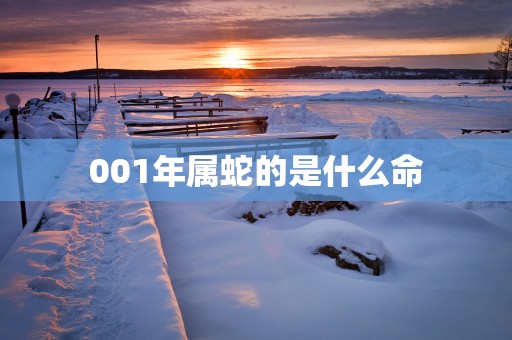 001年属蛇的是什么命