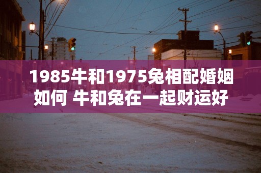 1985牛和1975兔相配婚姻如何 牛和兔在一起财运好吗