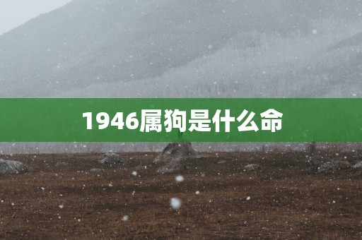 1946属狗是什么命