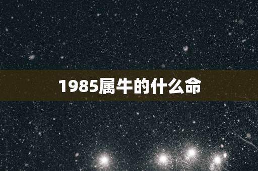 1985属牛的什么命