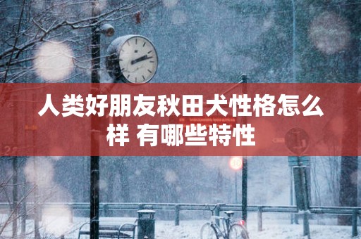 人类好朋友秋田犬性格怎么样 有哪些特性