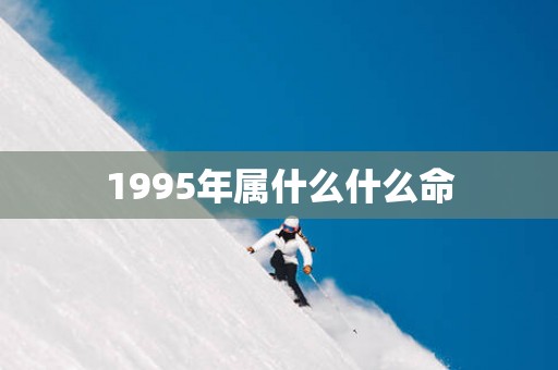 1995年属什么什么命