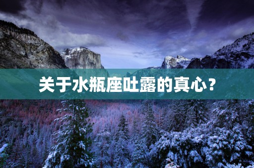 关于水瓶座吐露的真心？