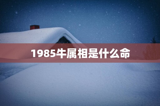 1985牛属相是什么命