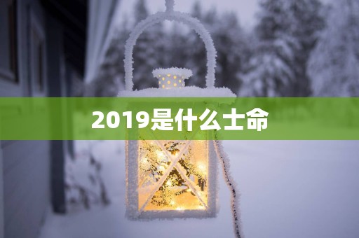 2019是什么士命