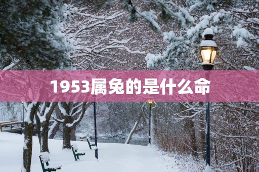 1953属兔的是什么命