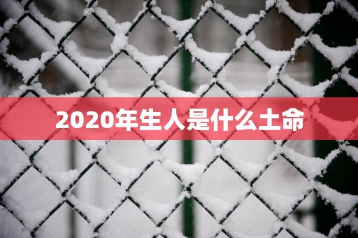 2025年生人是什么土命