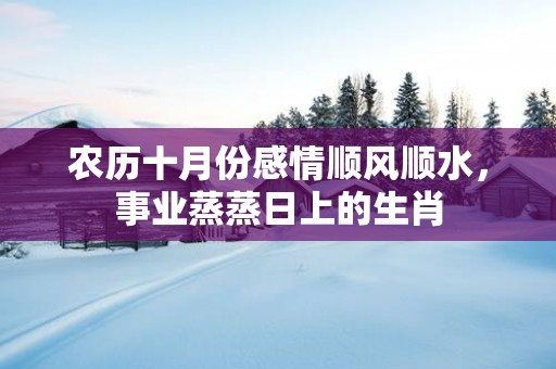 农历十月份感情顺风顺水，事业蒸蒸日上的生肖