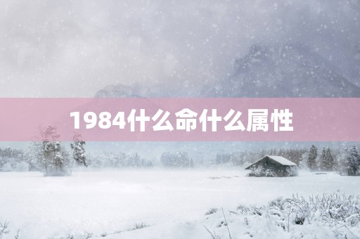1984什么命什么属性