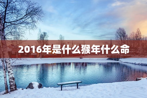 2016年是什么猴年什么命