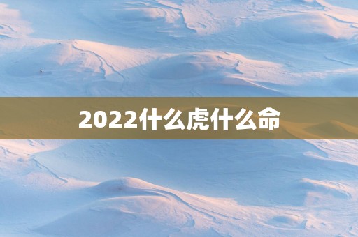 2025什么虎什么命