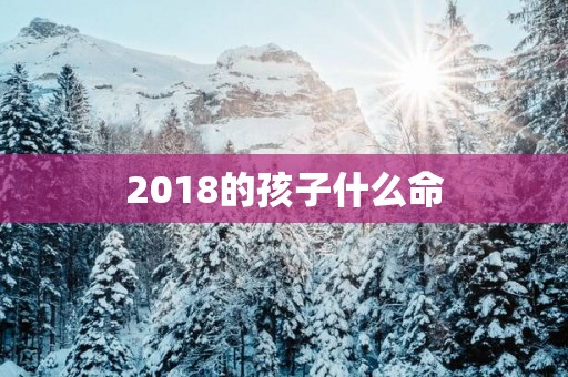 2018的孩子什么命