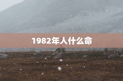 1982年人什么命