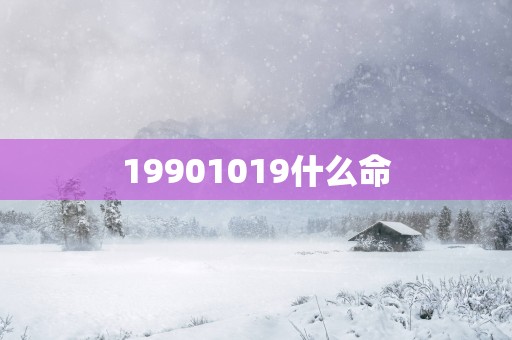 19901019什么命