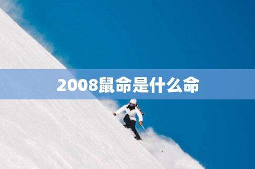 2008鼠命是什么命