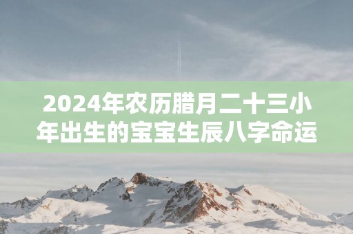 2025年农历腊月二十三小年出生的宝宝生辰八字命运详解