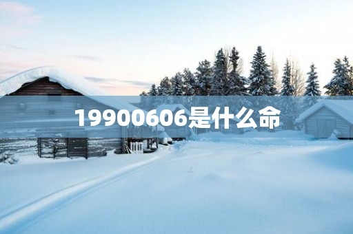 19900606是什么命