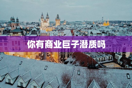 你有商业巨子潜质吗