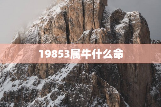 19853属牛什么命