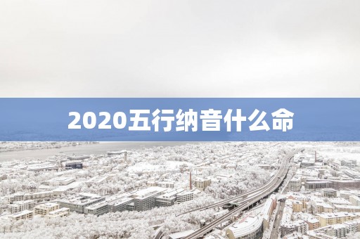 2025五行纳音什么命