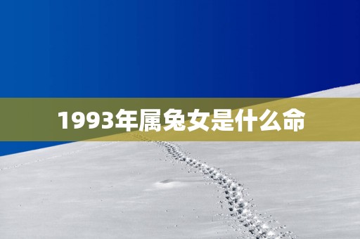 1993年属兔女是什么命