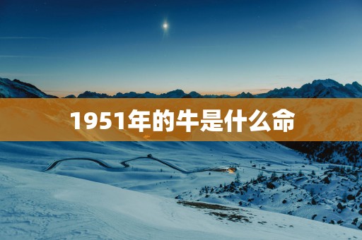 1951年的牛是什么命