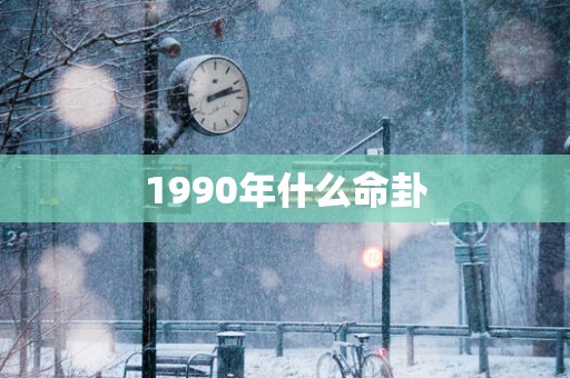 1990年什么命卦