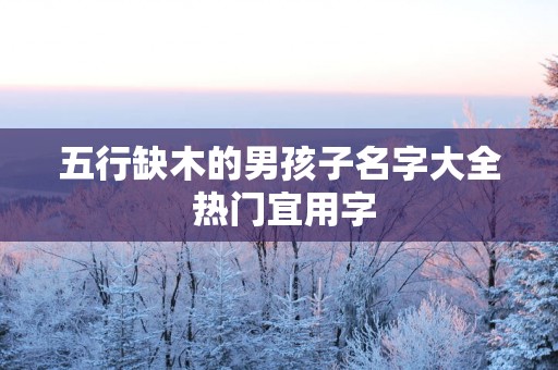 五行缺木的男孩子名字大全 热门宜用字