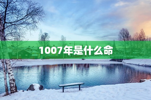 1007年是什么命