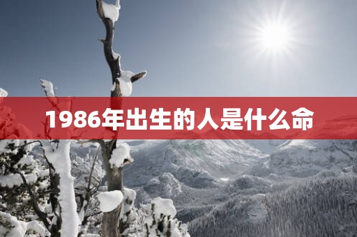 1986年出生的人是什么命