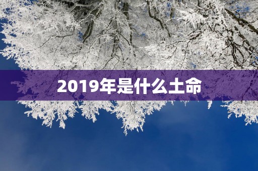 2019年是什么土命
