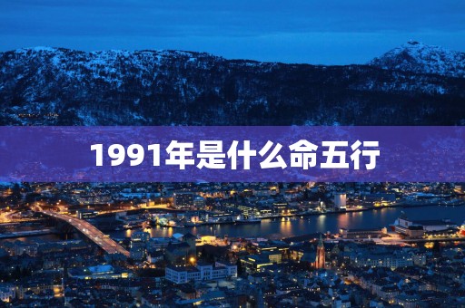 1991年是什么命五行