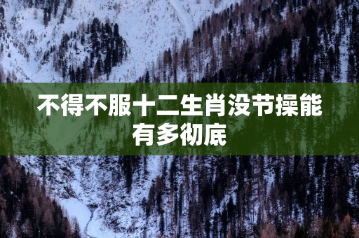 不得不服十二生肖没节操能有多彻底