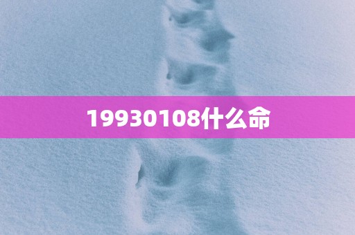 19930108什么命