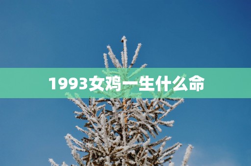 1993女鸡一生什么命