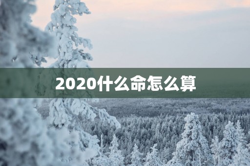 2025什么命怎么算